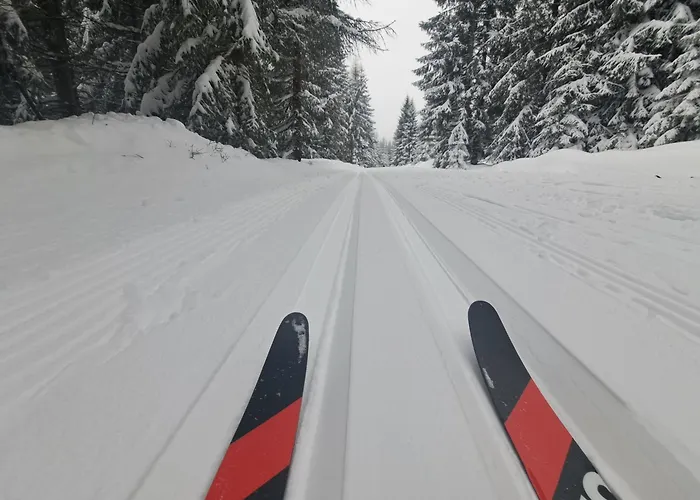 Апартаменты Perla