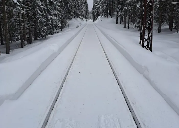 Апартаменты Perla